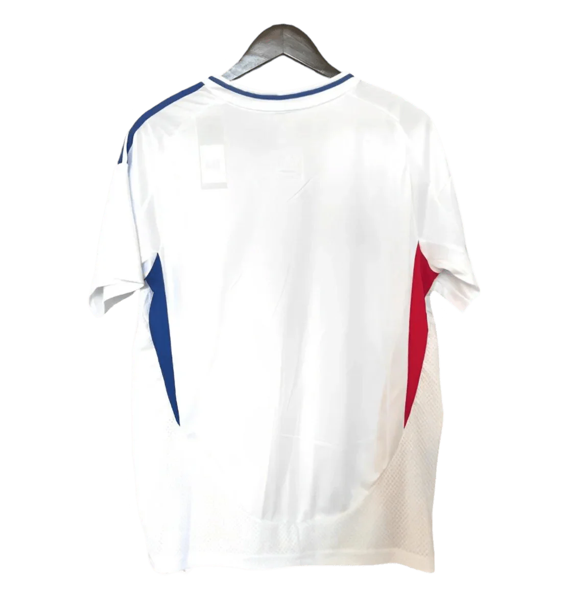 2024/25 Olympique Lyonnais Lyon Thuis Voetbalshirt