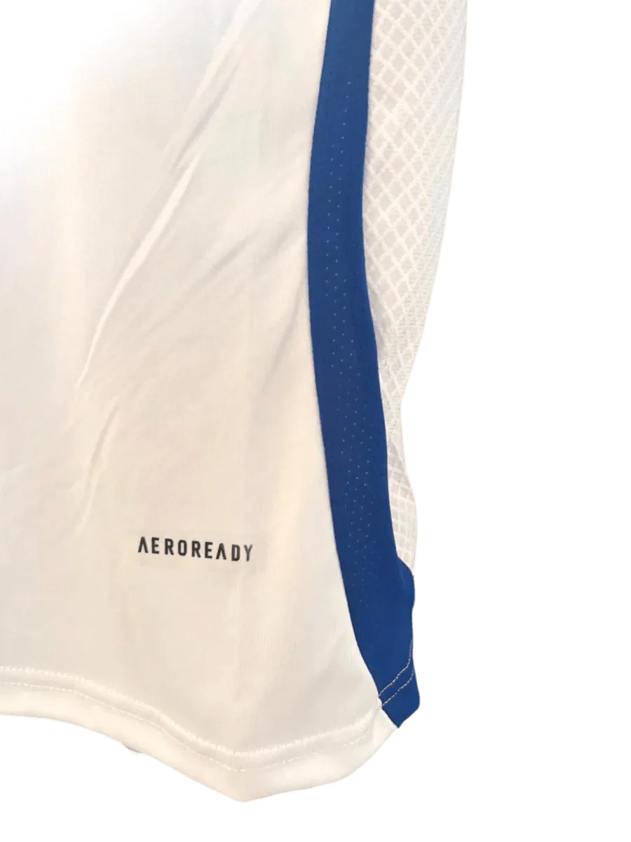 2024/25 Olympique Lyonnais Lyon Thuis Voetbalshirt