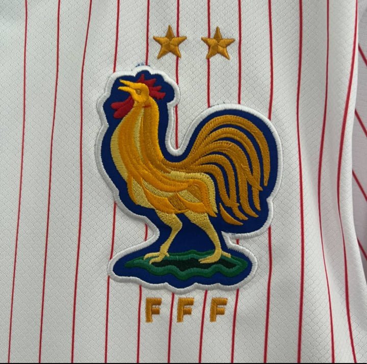 Frankreich 2024 Auswärts Fußballtrikot